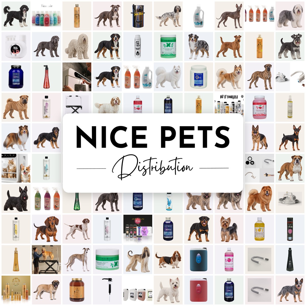 Nice Pets Distribution