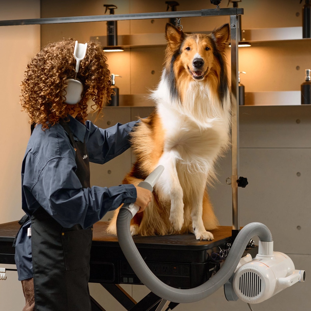Jirpet - Twin Triton I Unheated Twin-Motor Force Dryer (3)