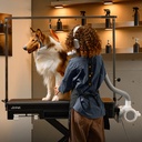 Jirpet - Twin Triton I Unheated Twin-Motor Force Dryer (4)