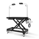 Jirpet - Twin Triton I Unheated Twin-Motor Force Dryer (9)