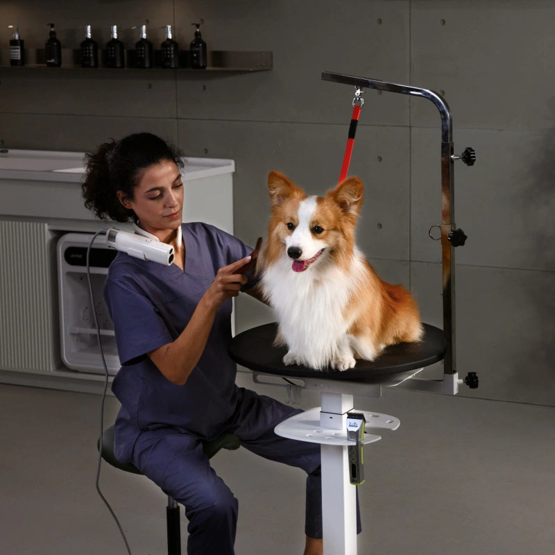Jirpet - Rotique 360 Hydraulic Rotating Grooming Table (5)