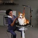 Jirpet - Rotique 360 Hydraulic Rotating Grooming Table (5)