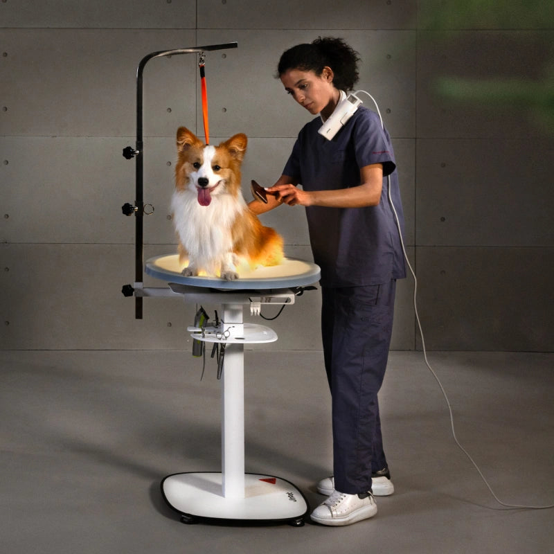 Jirpet - Revolve 360 Hydraulic Rotating Grooming Table with Light (2)