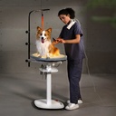 Jirpet - Revolve 360 Hydraulic Rotating Grooming Table with Light (2)