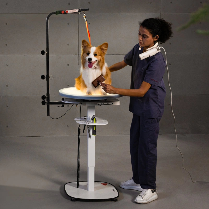 Jirpet - Radiant 360 Rotating Electric Grooming Table (2)