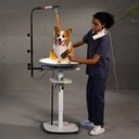 Jirpet - Radiant 360 Rotating Electric Grooming Table (2)