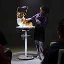 Jirpet - Radiant 360 Rotating Electric Grooming Table (3)