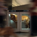 Jirpet - CPlus Dual Drying Cabin (large dogs) (5)