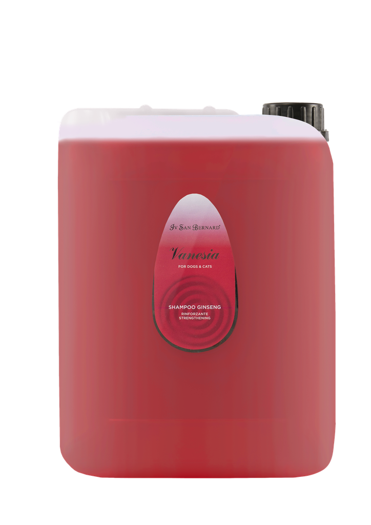 [NVSHGIN10000] Vanesia - Ginseng-Shampoo – Kräftigend - 10 L
